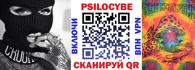 Купить где  Болохово  Галлюциногенные грибы Psilocybine cubensis 